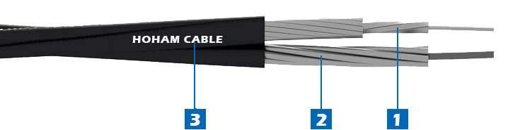 2 Insulated Conductors 2 cores(Duplex) 1.jpg