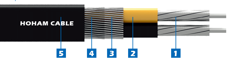 2 Aluminum Core 2 Phase Concentric cable   1.png