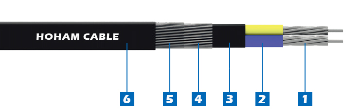 3 Aluminum Core 3 Phase Concentric cable  1.jpg