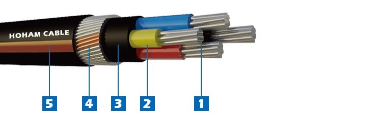 11 0.6-1V Al-XLPE-SWA-ECC-PVC 1.jpg