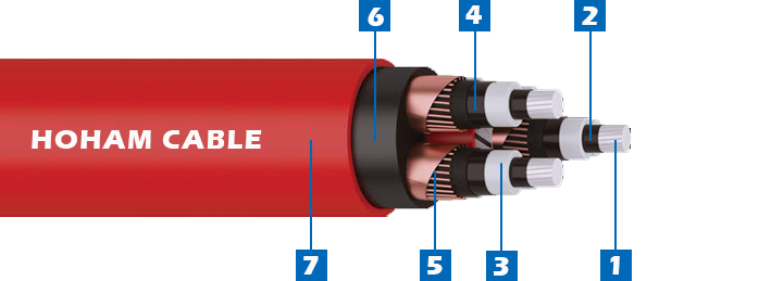 3 MV Al-XLPE-CWS-PVC 3 Cores 1.jpg