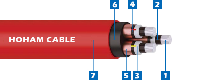 2 MV Al-XLPE-CTS-PVC 3 Cores  1.jpg